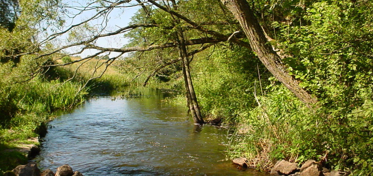 Rzeka Sapina